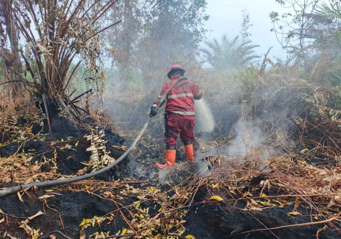 Karhutla Pematang Pudu Capai 81 Hektare, Manggala Agni Fokus Pendinginan