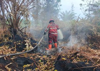 Karhutla Pematang Pudu Capai 81 Hektare, Manggala Agni Fokus Pendinginan