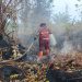 Karhutla Pematang Pudu Capai 81 Hektare, Manggala Agni Fokus Pendinginan