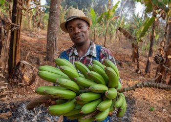 Negara Pisang Uganda Ubah Limbah 220 Ton Jadi Karpet Ekspor