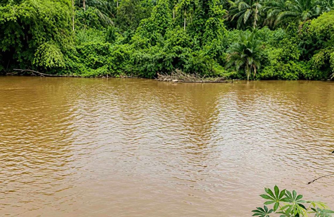 Walhi Riau dan Sumbar Desak Negara Bertindak Atasi Pencemaran Sungai Kampar