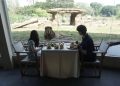 Berwisata ke Solo Safari, Melihat Satwa Langsung dan Menjajal Wahana Seru Bersama Keluarga