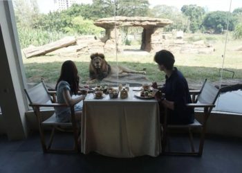 Berwisata ke Solo Safari, Melihat Satwa Langsung dan Menjajal Wahana Seru Bersama Keluarga