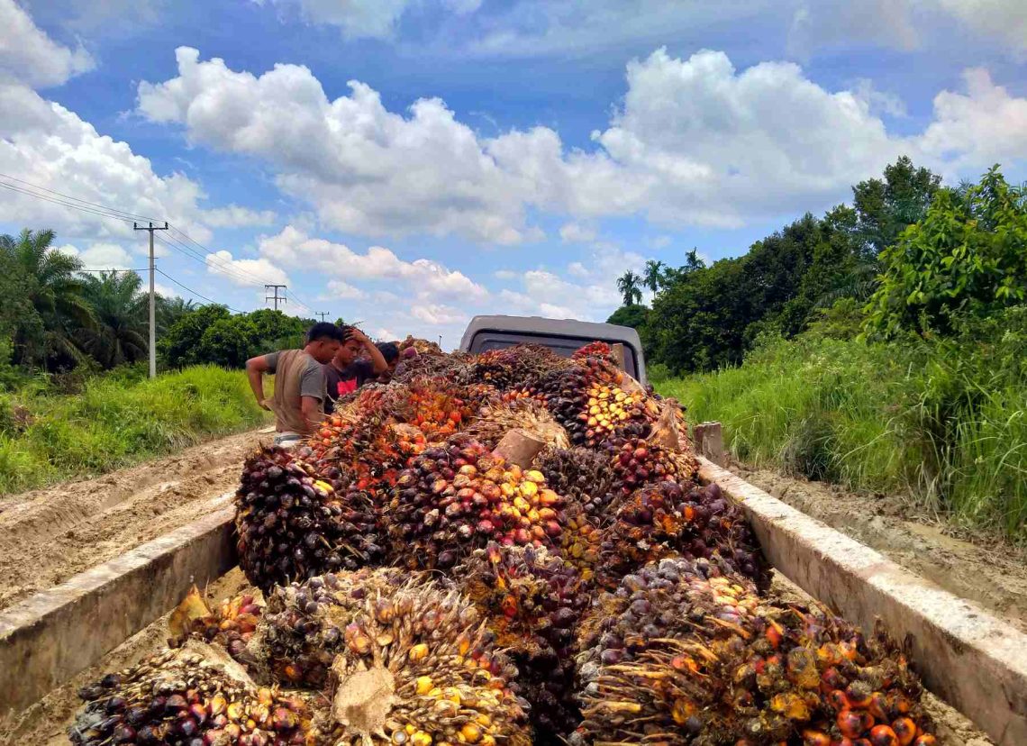 Ekspor Nonmigas Riau Tumbuh 8,14 Persen. Harga TBS Sawit Riau