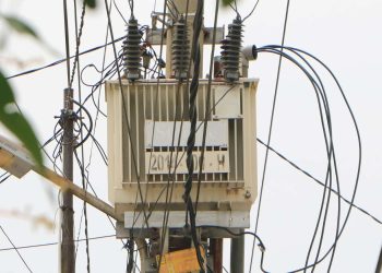 Info Tarif Listrik PLN, Pemerintah Jaga Daya Beli dan Stabilitas Usaha