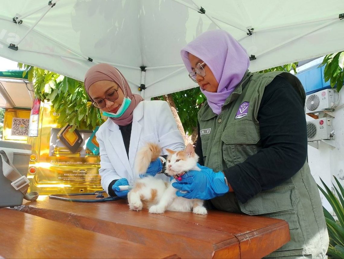 Capaian Vaksinasi Rabies di Riau Lampaui Target, Pemprov Pertegas Kewajiban Hukum Pemilik Hewan