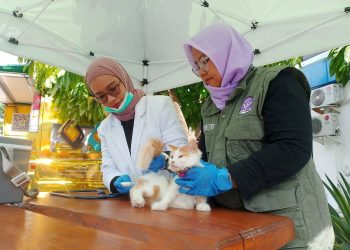 Capaian Vaksinasi Rabies di Riau Lampaui Target, Pemprov Pertegas Kewajiban Hukum Pemilik Hewan