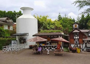 Wisata Bandung Farmhouse Susu Lembang, Tiket Rp35 Ribu, Nuansa Eropa
