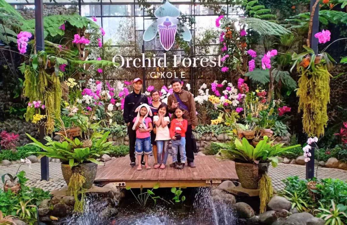 Wisata Bandung Orchid Forest Cikole Suguhkan 157 Jenis Anggrek di Hutan Pinus