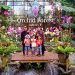 Wisata Bandung Orchid Forest Cikole Suguhkan 157 Jenis Anggrek di Hutan Pinus