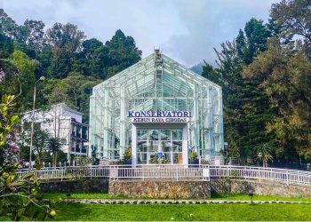 Wisata Bogor Kebun Raya Cibodas Suguhkan Taman Hijau Indah di Kaki Gunung Gede - Pangrango