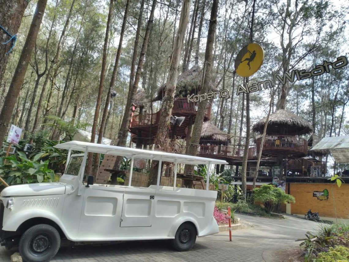 Wisata Kopeng Treetop Adventure Park di Salatiga, Suguhkan Wahana Permainan Seru 