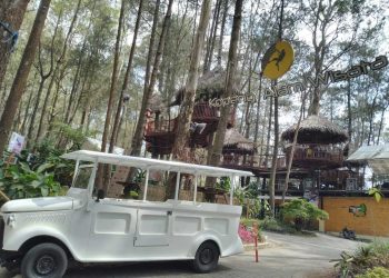 Wisata Kopeng Treetop Adventure Park di Salatiga, Suguhkan Wahana Permainan Seru 