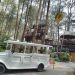 Wisata Kopeng Treetop Adventure Park di Salatiga, Suguhkan Wahana Permainan Seru