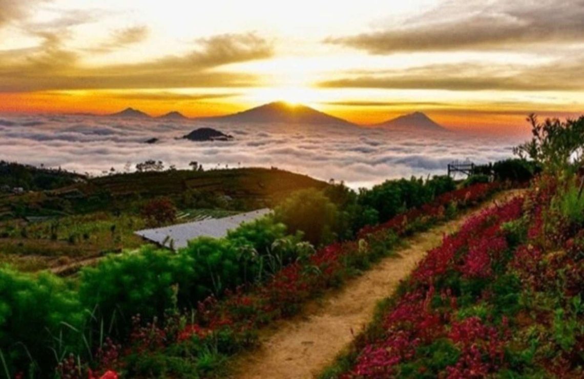 Wisata Magelang Silancur Highland, Spot Foto Instagramable Harga Tiket Cuma Rp10 Ribu