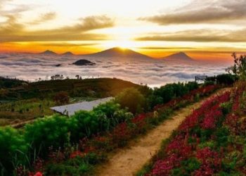 Wisata Magelang Silancur Highland, Spot Foto Instagramable Harga Tiket Cuma Rp10 Ribu