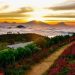 Wisata Magelang Silancur Highland, Spot Foto Instagramable Harga Tiket Cuma Rp10 Ribu