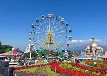 Mengunjungi Taman Bunga Celosia Semarang, Suguhkan View Memikat dengan Latar Gunung Ungaran 