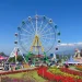 Mengunjungi Taman Bunga Celosia Semarang, Suguhkan View Memikat dengan Latar Gunung Ungaran 