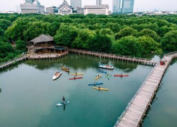 Wisata Alam Mangrove PIK, Berburu Spot Foto Instragamable dan Edukasi Lingkungan, Segini Harga Tiketnya!