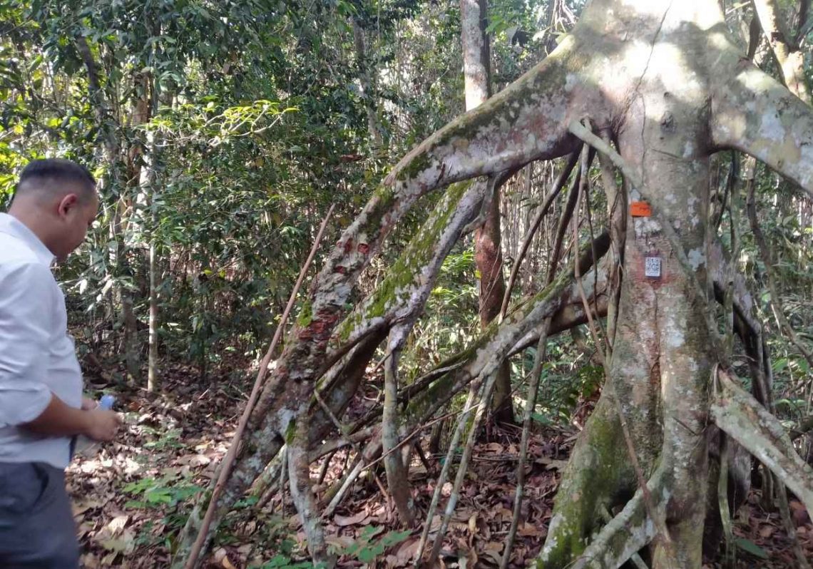 Pusat Percepat Sertifikasi Tanah Ulayat di Riau demi Kepastian Hukum Masyarakat Adat