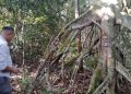 Pusat Percepat Sertifikasi Tanah Ulayat di Riau demi Kepastian Hukum Masyarakat Adat