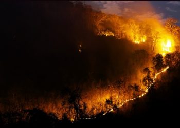 Petugas Kewalahan Tangani Kebakaran Hutan di Madrid, 25.000 Orang Mengungsi