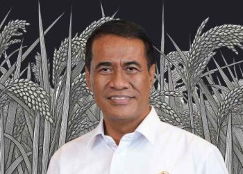 Anggaran Ketahanan Pangan 2027 Diuji Pembiayaan Program yang Membengkak