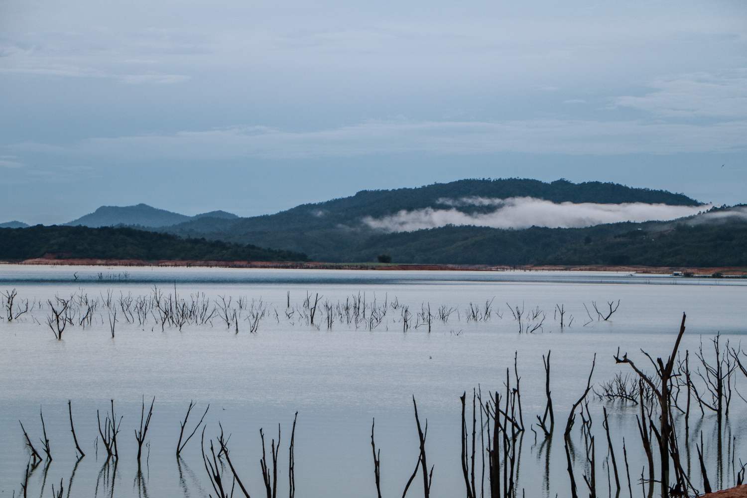 Biodiversity Safeguard di Lanskap Koto Panjang
