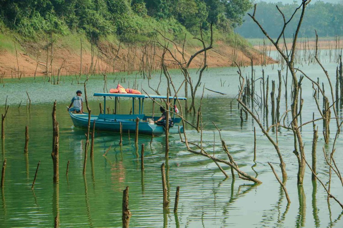 Listrik Tersedia, Alam Terjaga, Melihat Lebih Dekat Biodiversity Safeguard di Lanskap Koto Panjang