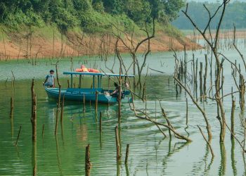 Listrik Tersedia, Alam Terjaga, Melihat Lebih Dekat Biodiversity Safeguard di Lanskap Koto Panjang