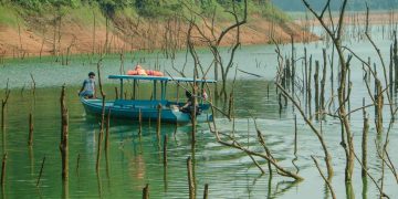Listrik Tersedia, Alam Terjaga, Melihat Lebih Dekat Biodiversity Safeguard di Lanskap Koto Panjang