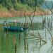 Listrik Tersedia, Alam Terjaga, Melihat Lebih Dekat Biodiversity Safeguard di Lanskap Koto Panjang