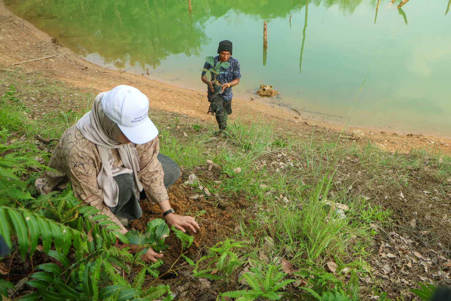 Menanam bibit aren di PLTA Koto Panjang