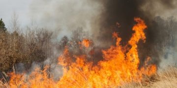 Cuaca Riau 21 Agustus 2026 Cerah Berawan, Hotspot di Pelalawan 35 Titik. Dampak Karhutla