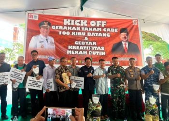 Pengendalian Inflasi Pangan, TPID Riau Lakukan Gerakan Taman 100 Ribu Cabai