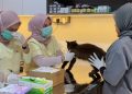 Anabul Home Petshop & Petclinic, Rekomendasi Toko Kebutuhan Hewan di Pekanbaru