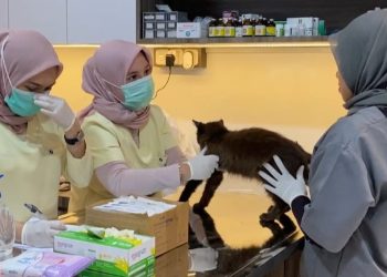 Anabul Home Petshop & Petclinic, Rekomendasi Toko Kebutuhan Hewan di Pekanbaru