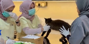 Anabul Home Petshop & Petclinic, Rekomendasi Toko Kebutuhan Hewan di Pekanbaru