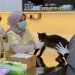 Anabul Home Petshop & Petclinic, Rekomendasi Toko Kebutuhan Hewan di Pekanbaru
