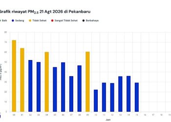 Kualitas Udara Pekanbaru Hari Ini, Sempat Masuk Kategori Tidak Sehat