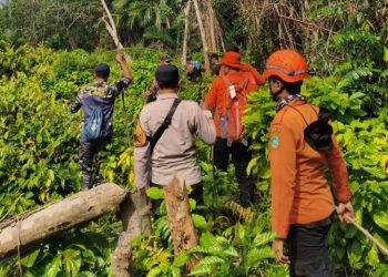 Pencarian Kakek 80 Tahun yang Hilang di Meranti Dilanjutkan, Unit Penyelamat SAR Dikerahkan