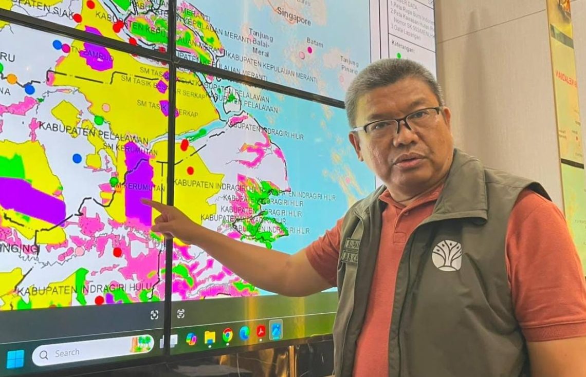 Karhutla Meluas ke Habitat Harimau Sumatera di Suaka Margasatwa Kerumutan