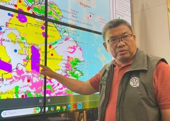 Karhutla Meluas ke Habitat Harimau Sumatera di Suaka Margasatwa Kerumutan