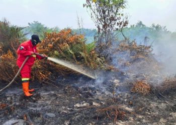 Ancaman Karhutla akibat El Nino, Kepala Daerah Diminta Bertindak Tegas