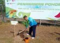 Tanam 2500 Bibit Pohon di Stadion Utama, Plt Gubri: HUT Riau ke-56 Sedernaha Saja