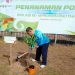 Tanam 2500 Bibit Pohon di Stadion Utama, Plt Gubri: HUT Riau ke-56 Sedernaha Saja