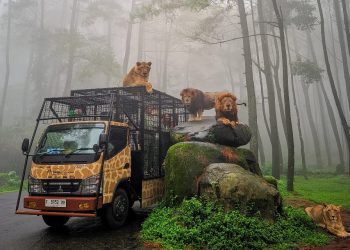 Harga Tiket Masuk Taman Safari Prigen Jawa Timur, Taman Safari Park Terbesar di Asia Tenggara