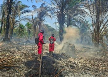 Alasan Mengapa Riau Masuk dalam Daerah Prioritas Penanganan Karhutla 2026