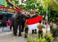 Gajah Sumatra Pengibar Bendera Meriahkan Upacara HUT RI Ke-81 di Kasang Kulim Zoo